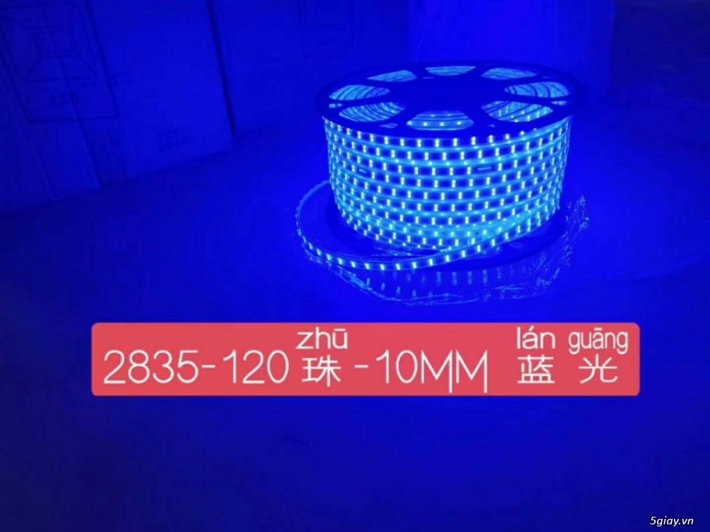 Led dây cuộn 2835 100m - 1