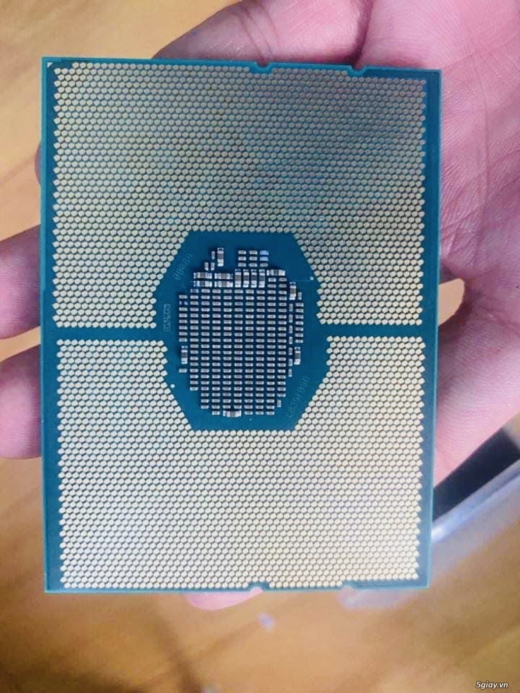 cpu xeon Gold 6138 sk 3647 - 1