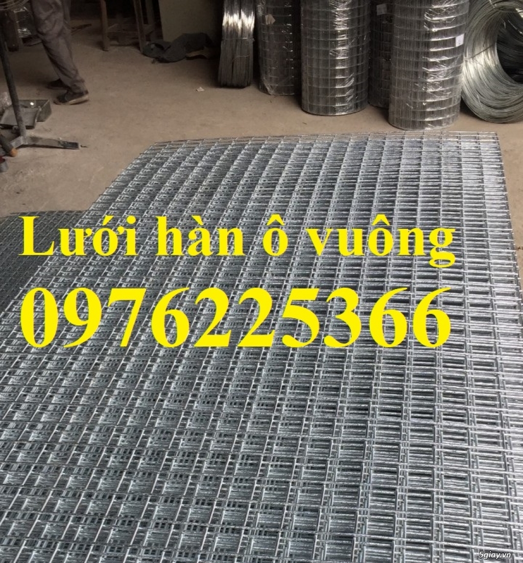 Lưới thép làm giàn lan D3a50x50, D4a50x50 có sẵn dạng tấm, dạng cuộn - 1