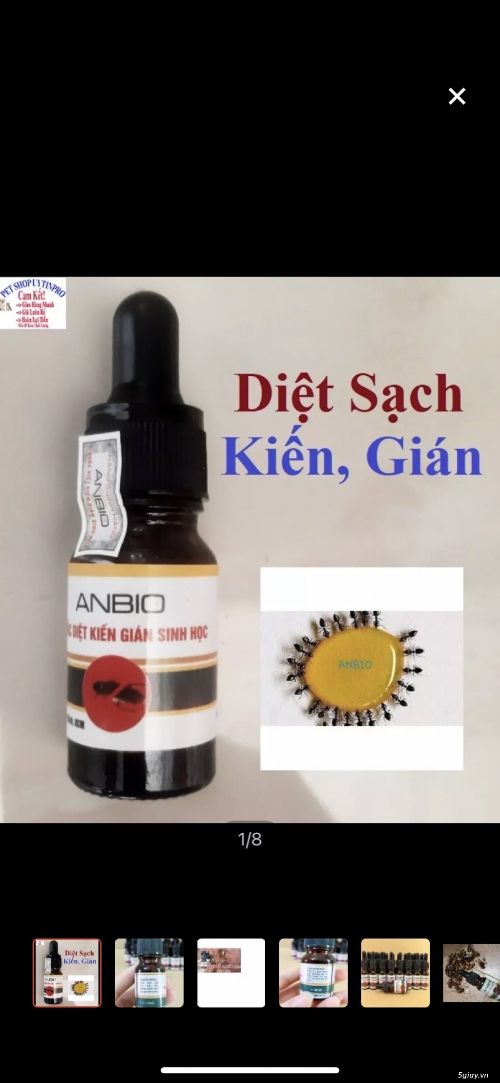 Tập trồng rau xanh - 1