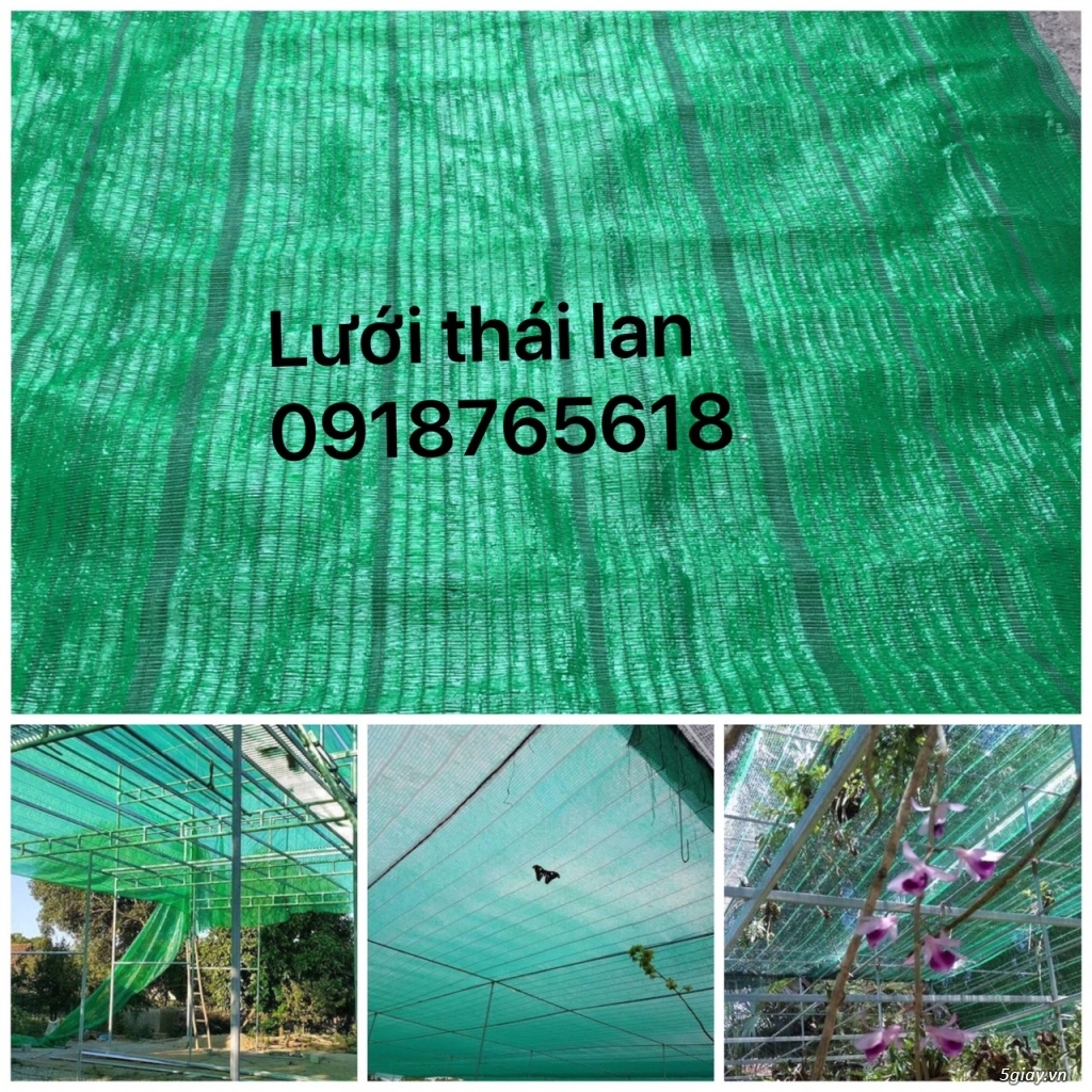 Nội thất xây dựng