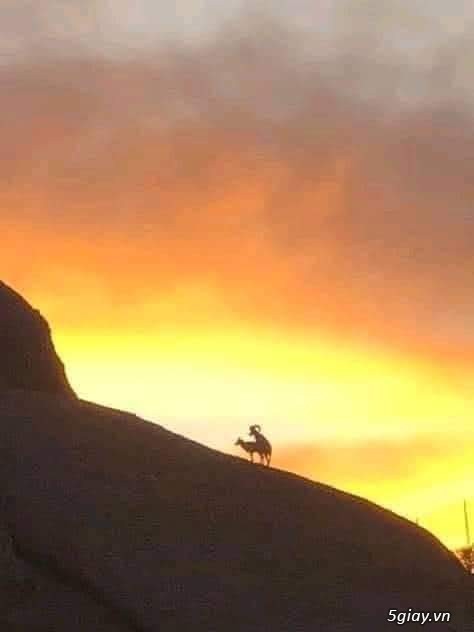 showbiz việt , mềm nắn - rắn thì buông