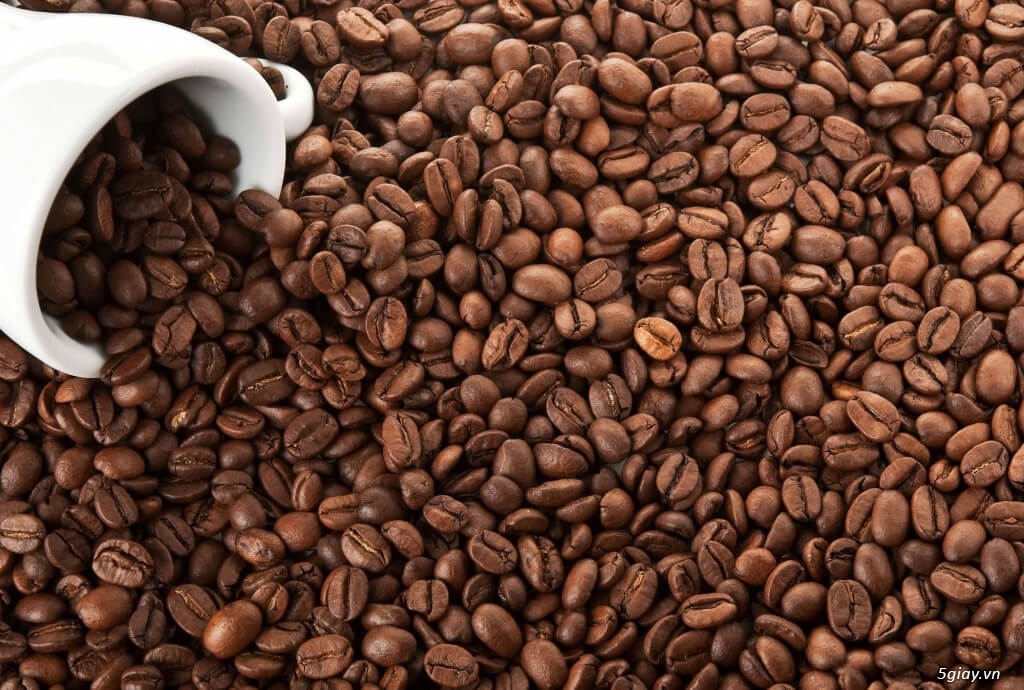 CÀ PHÊ MỘC RANG XAY BUGA COFFEE 140.000/KG - 7