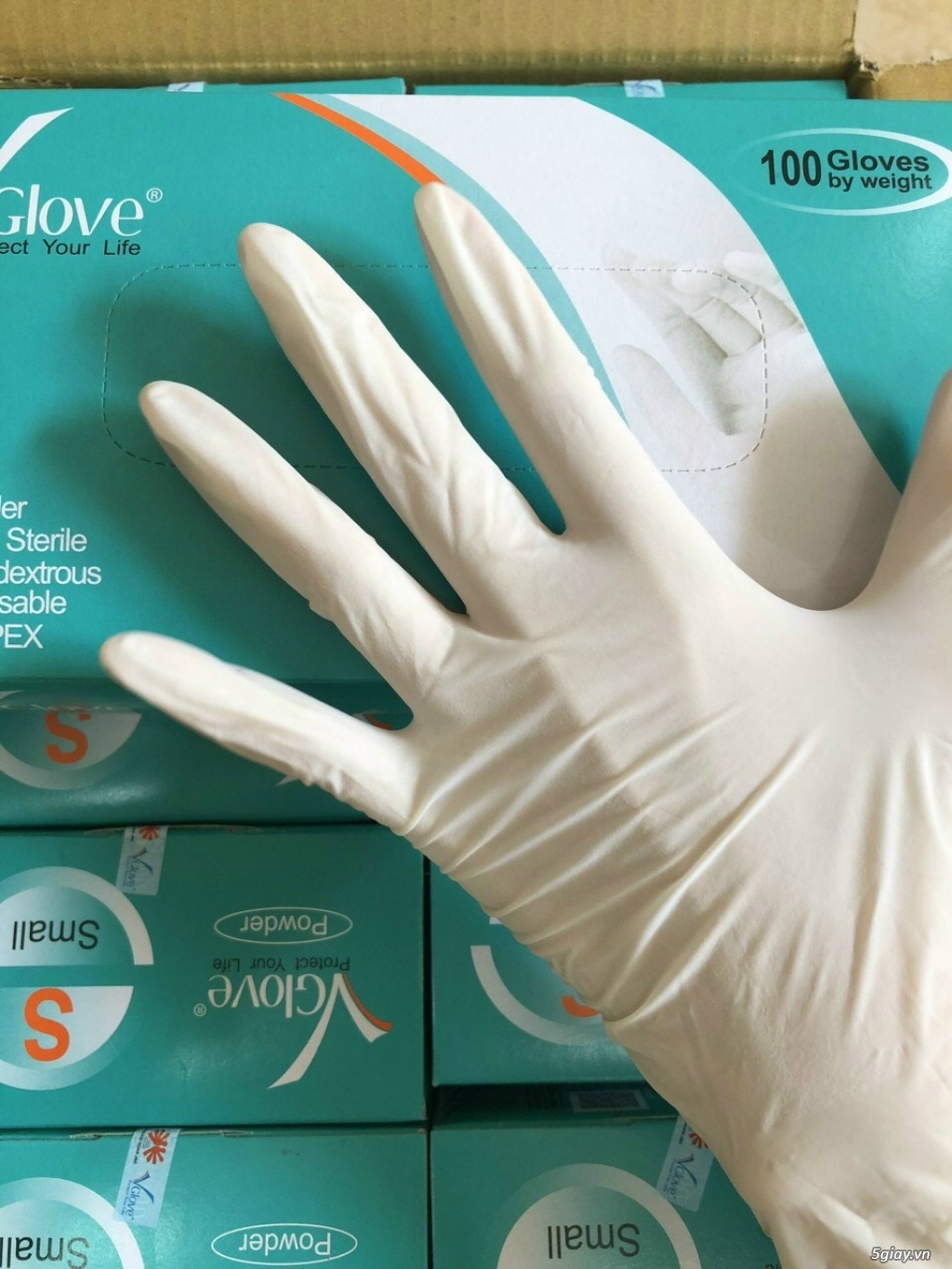 Găng tay y tế Nitrile / Latex - 4