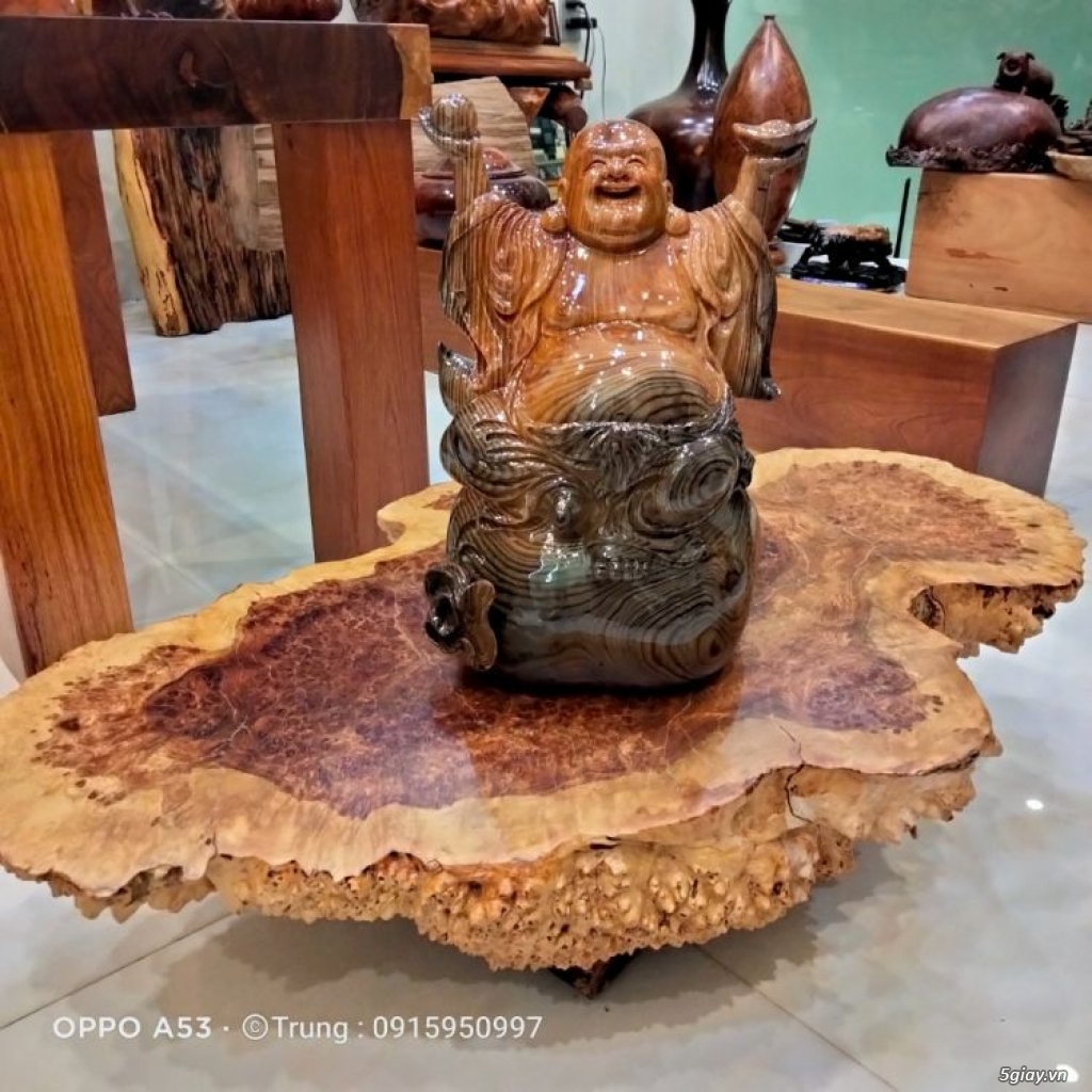 thủy tùng việt - 1