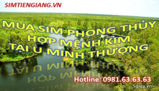 Top Địa Chỉ Bán Sim Phong Thủy Hợp Mệnh Kim Tại Huyện U Minh Thượng