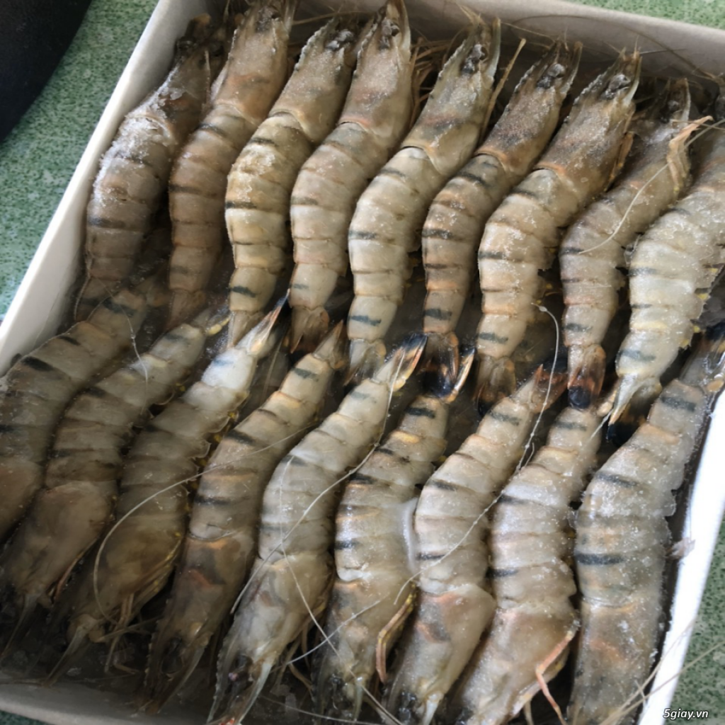 Tôm sú đông lạnh size 30 - ship từ 10kg - 2