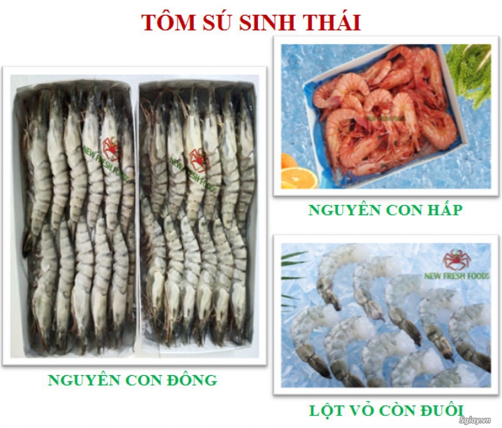 TÔM XUẤT KHẨU - NEW FRESH FOOS - 1
