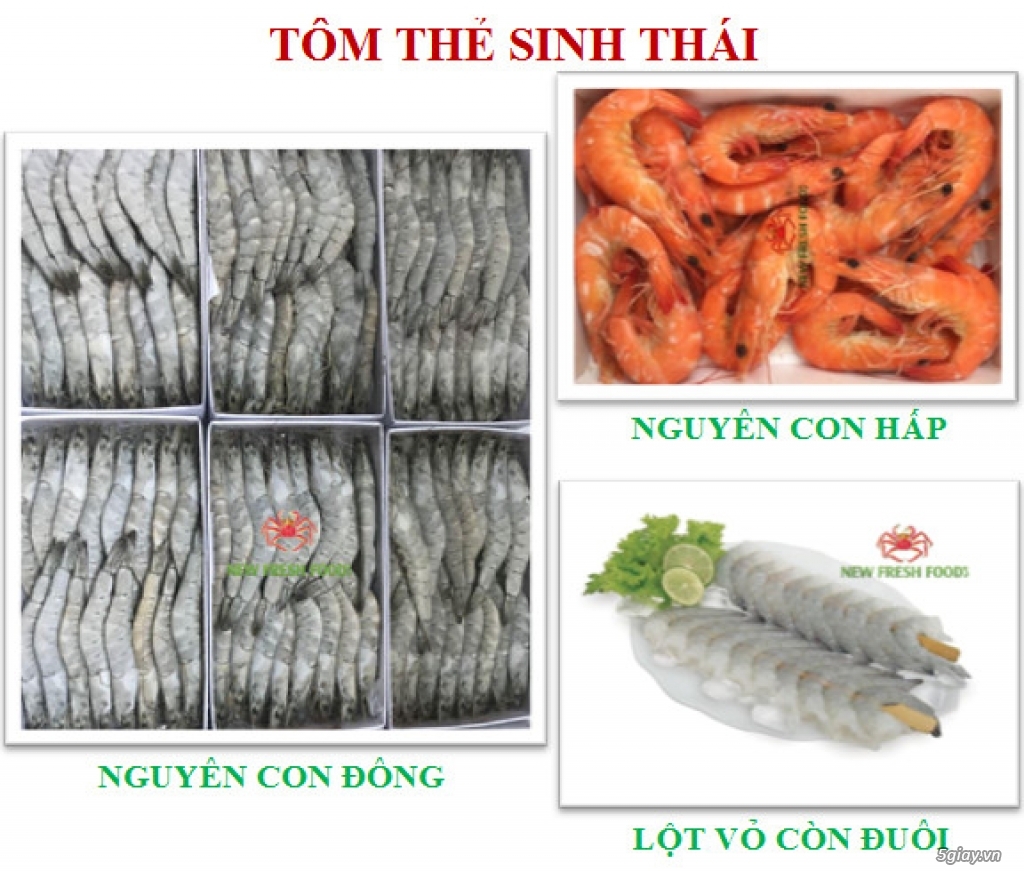 TÔM XUẤT KHẨU - NEW FRESH FOOS - 2