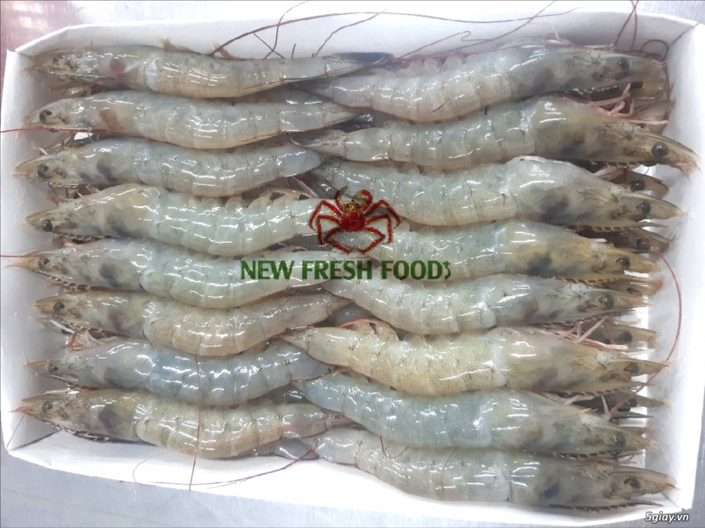 TÔM XUẤT KHẨU - NEW FRESH FOOS - 11