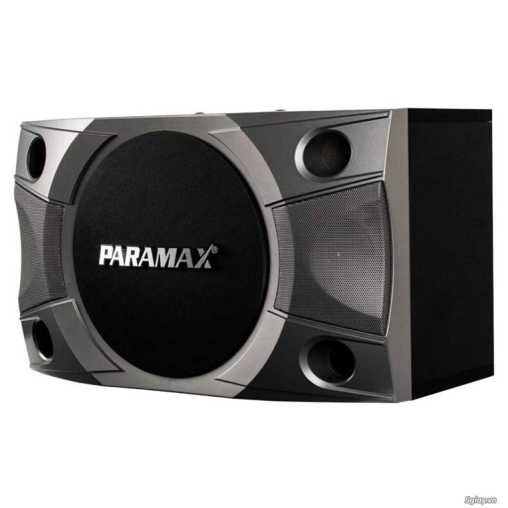Loa karaoke Paramax P800 đỉnh cao chất lượng - 4