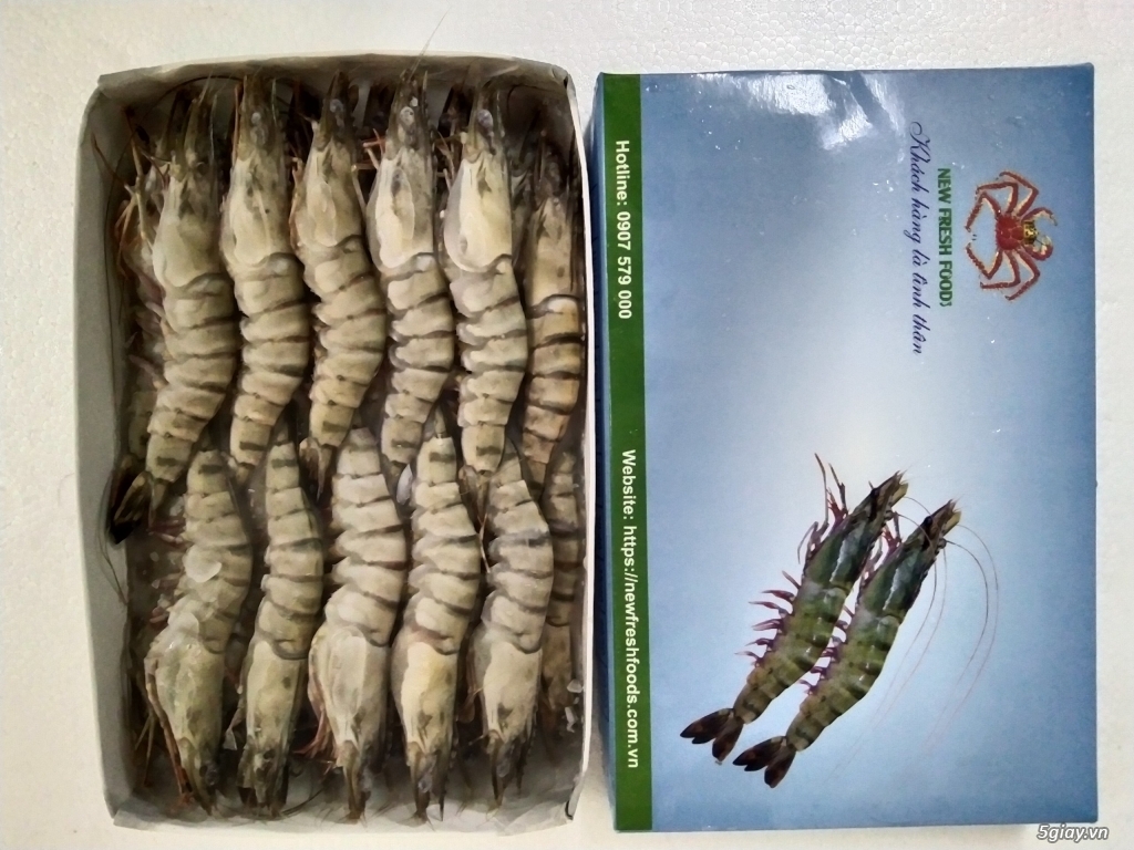 TÔM XUẤT KHẨU - NEW FRESH FOOS - 8