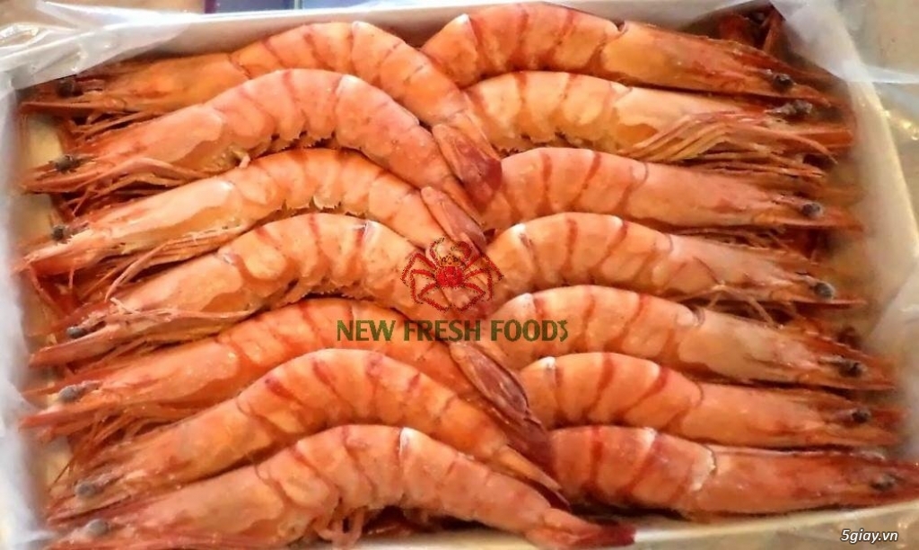 TÔM XUẤT KHẨU - NEW FRESH FOOS - 9