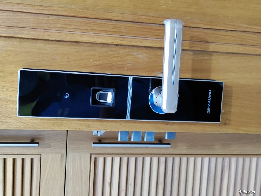 Khóa cửa vân tay Dessmann G811-II