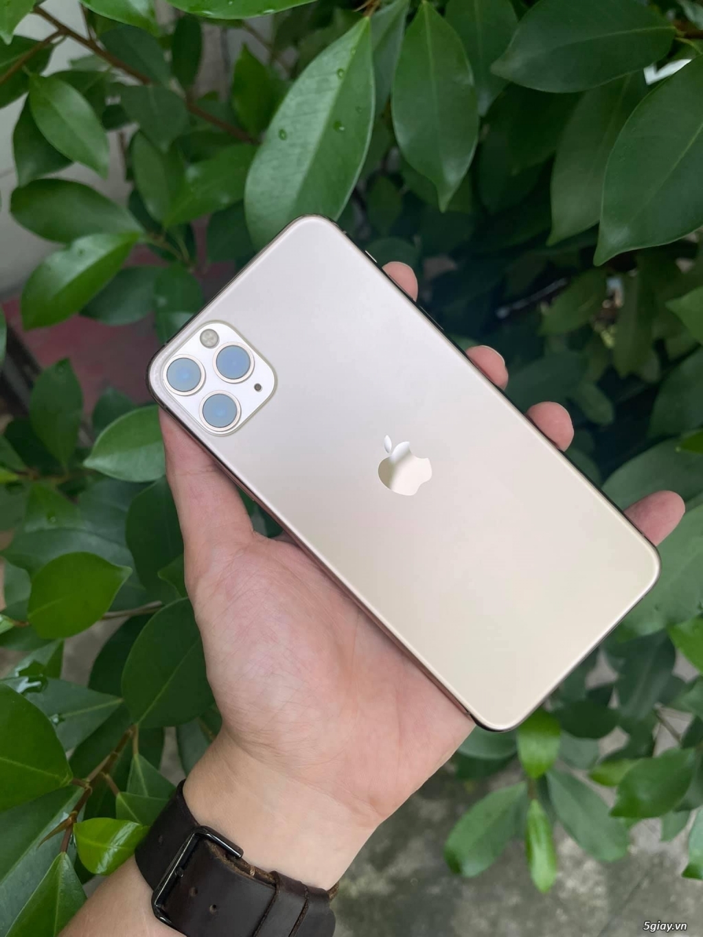 Iphone11 Promax 64G Gold | 5giay
