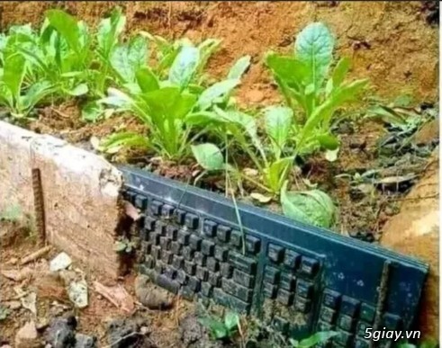 Diễn viên việt nam nào diễn hay hơn tặng 100K