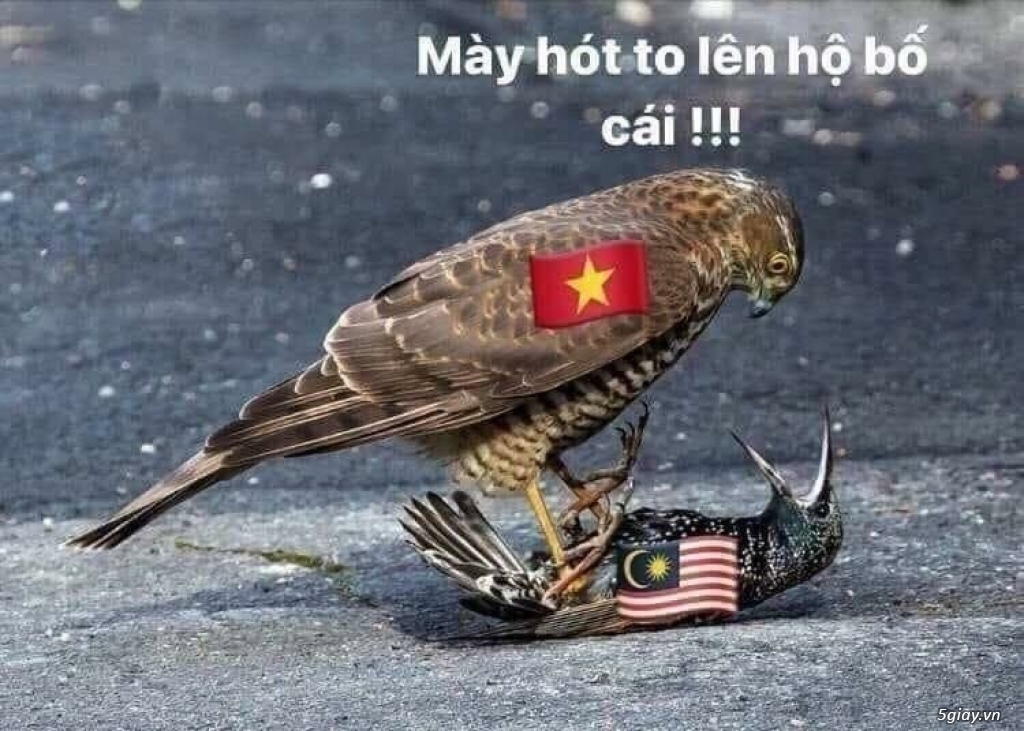 Chú LongVIP ở thủ đô của Angola về VN lâu chưa ta?