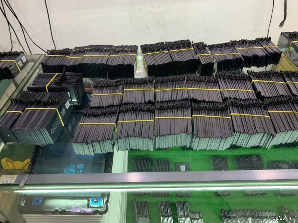 Thay pin iPhone con trâu BISON bảo hành 12 tháng - 2