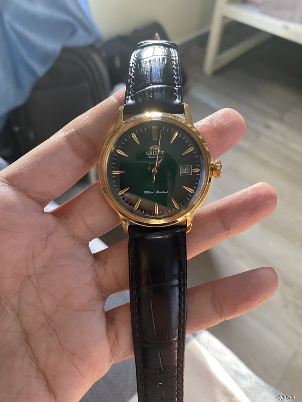 Đồng hồ Orient Bambino FAC máy cơ