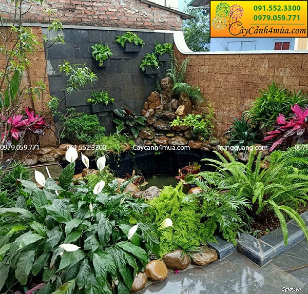 Dịch vụ trang trí tiểu cảnh sân vườn | 5giay Dịch vụ trang trí tiểu cảnh sân vườn | 5giay