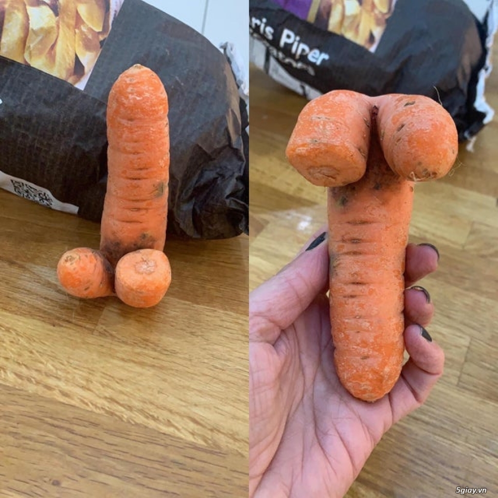 Xứ giãy chết - 3