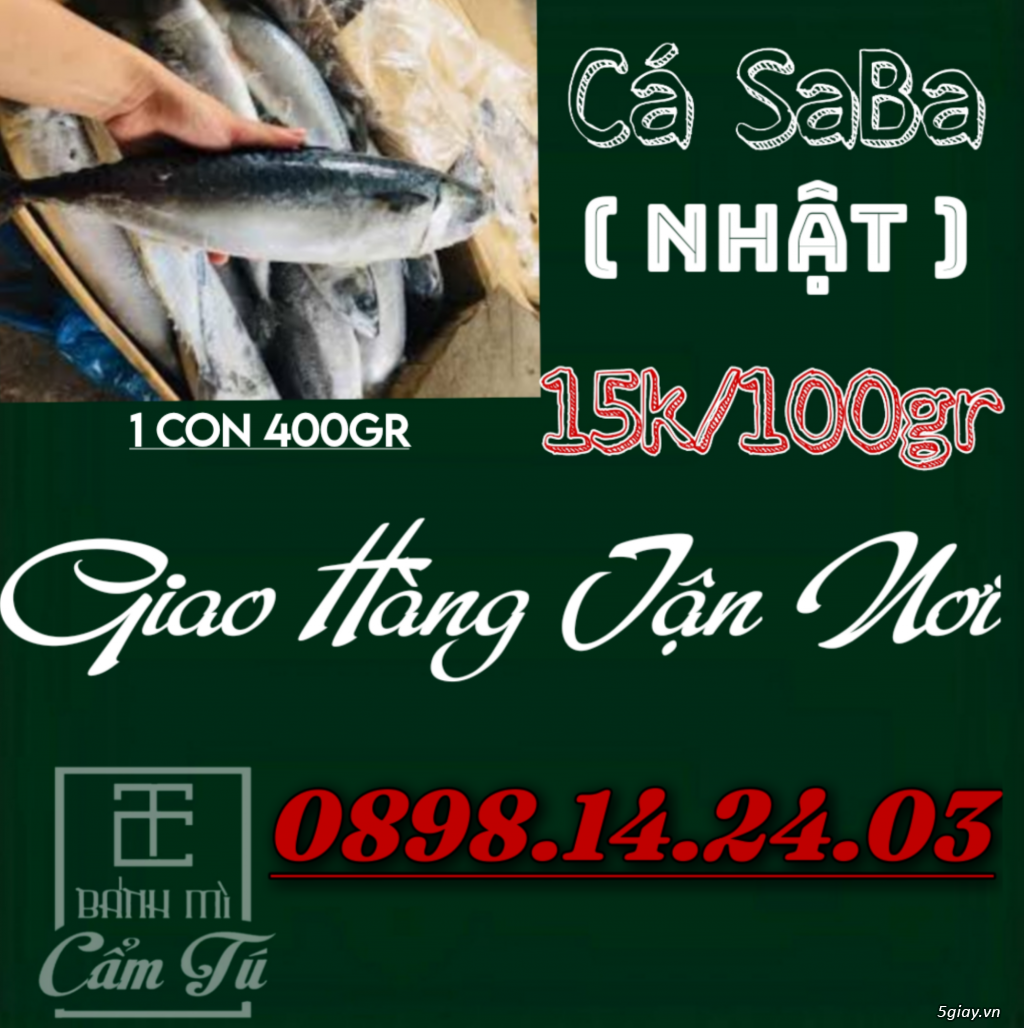 Cá Saba Nhập Khẩu Nhật