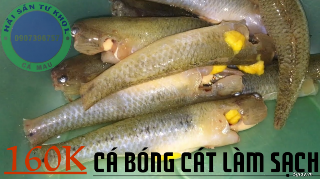 ĐẶC SẢN CÀ MAU
 Tôm.Cua .Cá.Khô... - 2