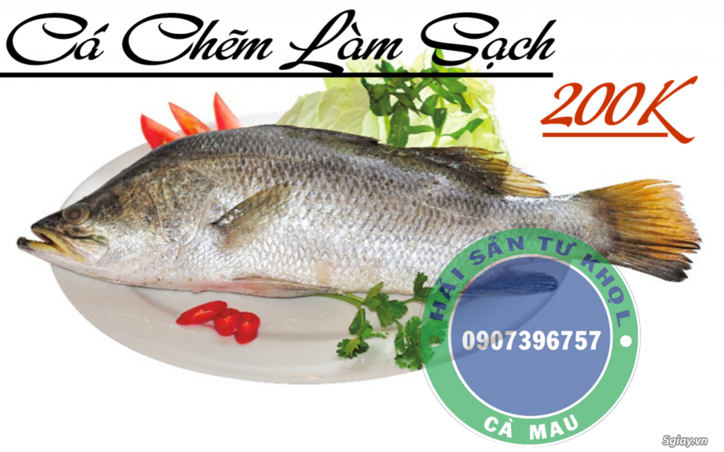 Cua Gạch Son  Cà Mau.(chính gôc) - 6