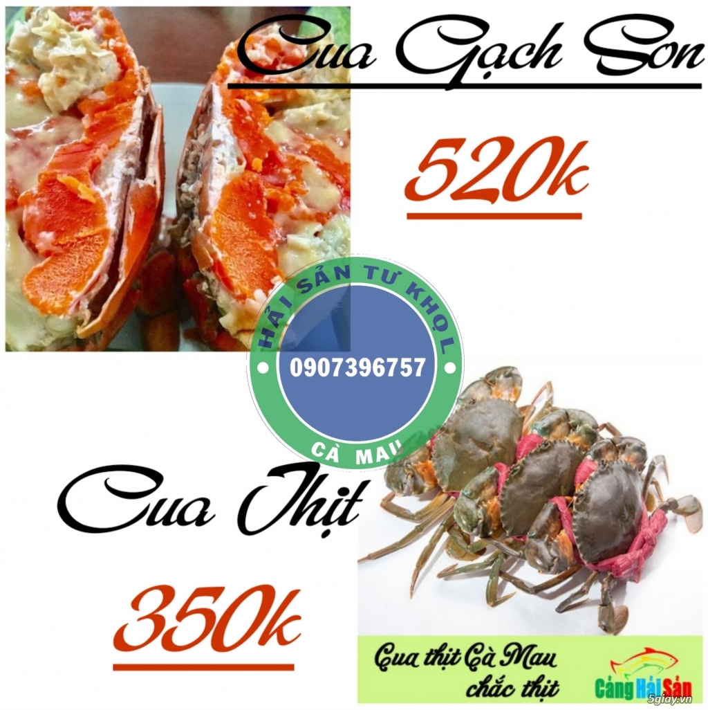 Cua Gạch Son  Cà Mau.(chính gôc)