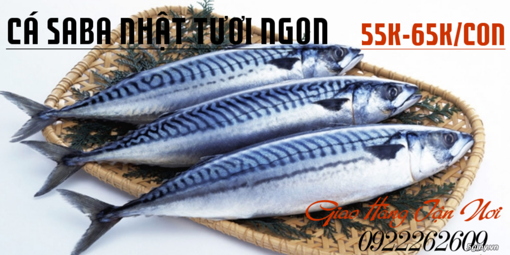 Cá Thu Nhập Khẩu Nhật