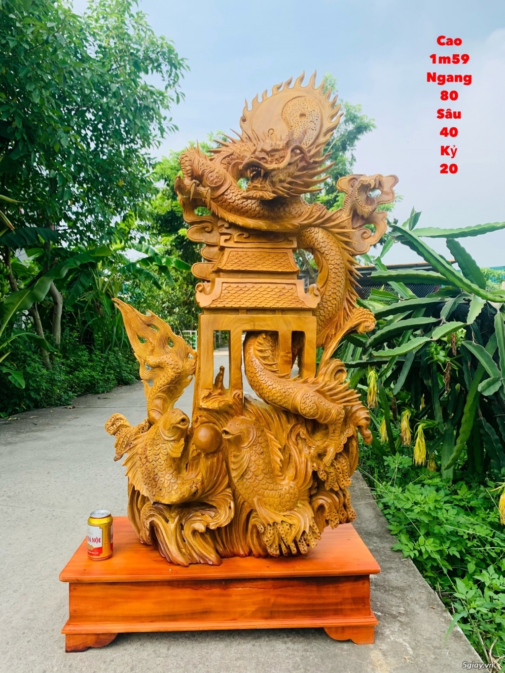 Hóa rồng vượt vũ long môn - 2