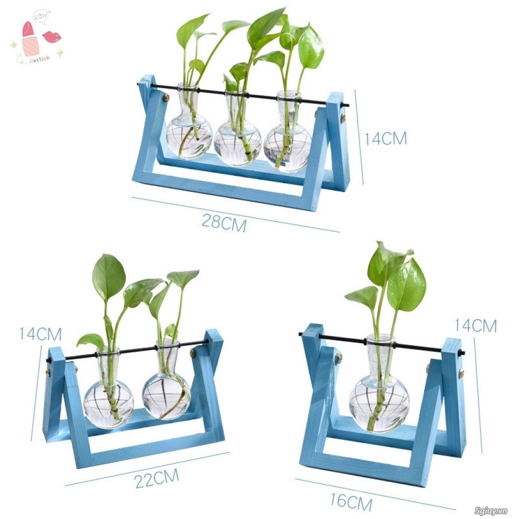 Cần tìm đại lý - cộng tác viên phân phối sản phẩm Lọ thủy canh xích đu