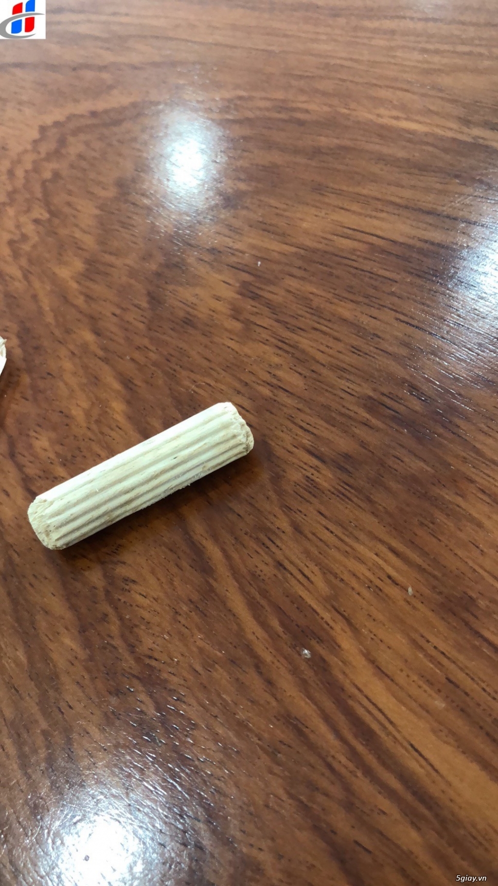 MÁY CHUỐT CHỐT GỖ MB9010C - 1