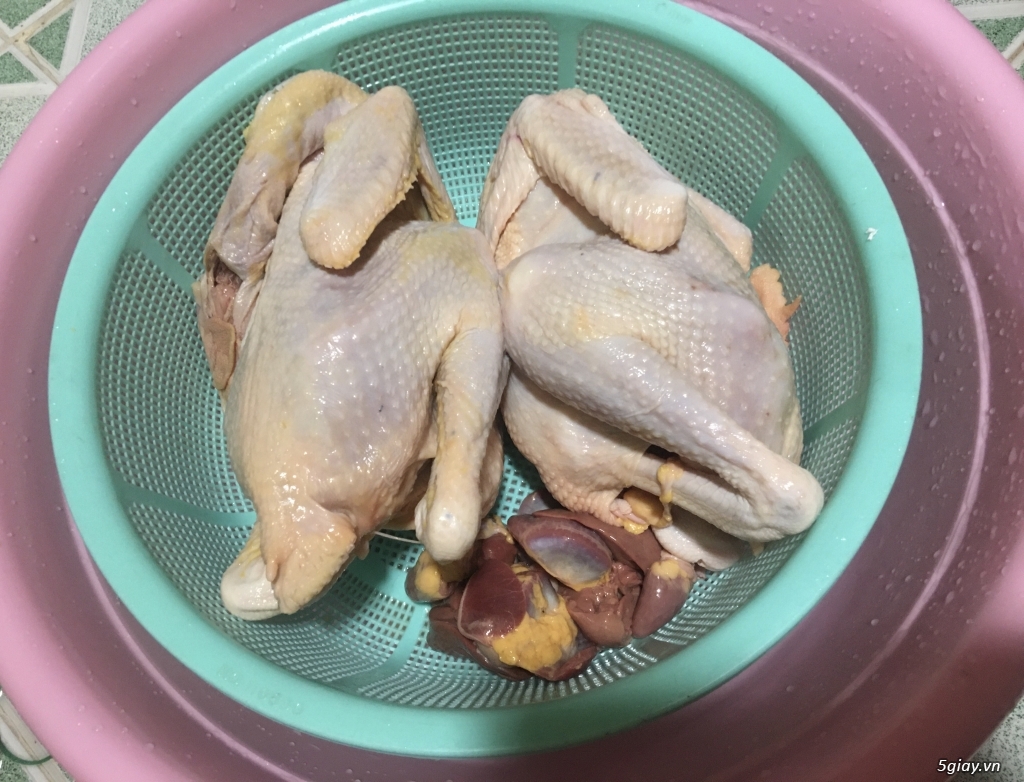 Gà ta thả vườn Tây Nguyên - 3