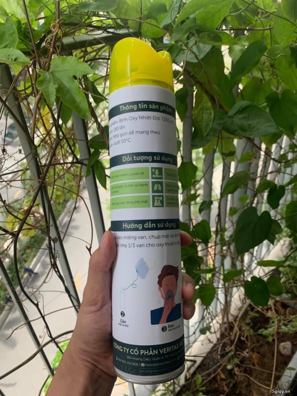 Bình oxy nhiệt đới AIrx - 4
