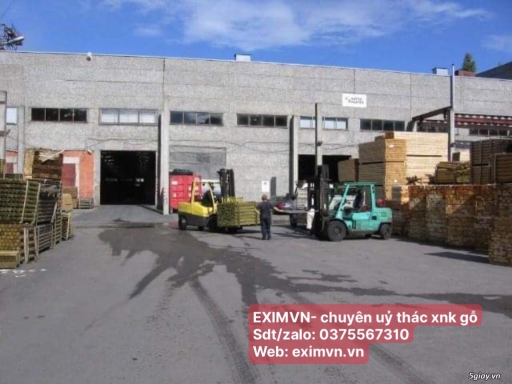 sàn giao dịch EXIMVN- chuyên ủy thác xnk gỗ - 1