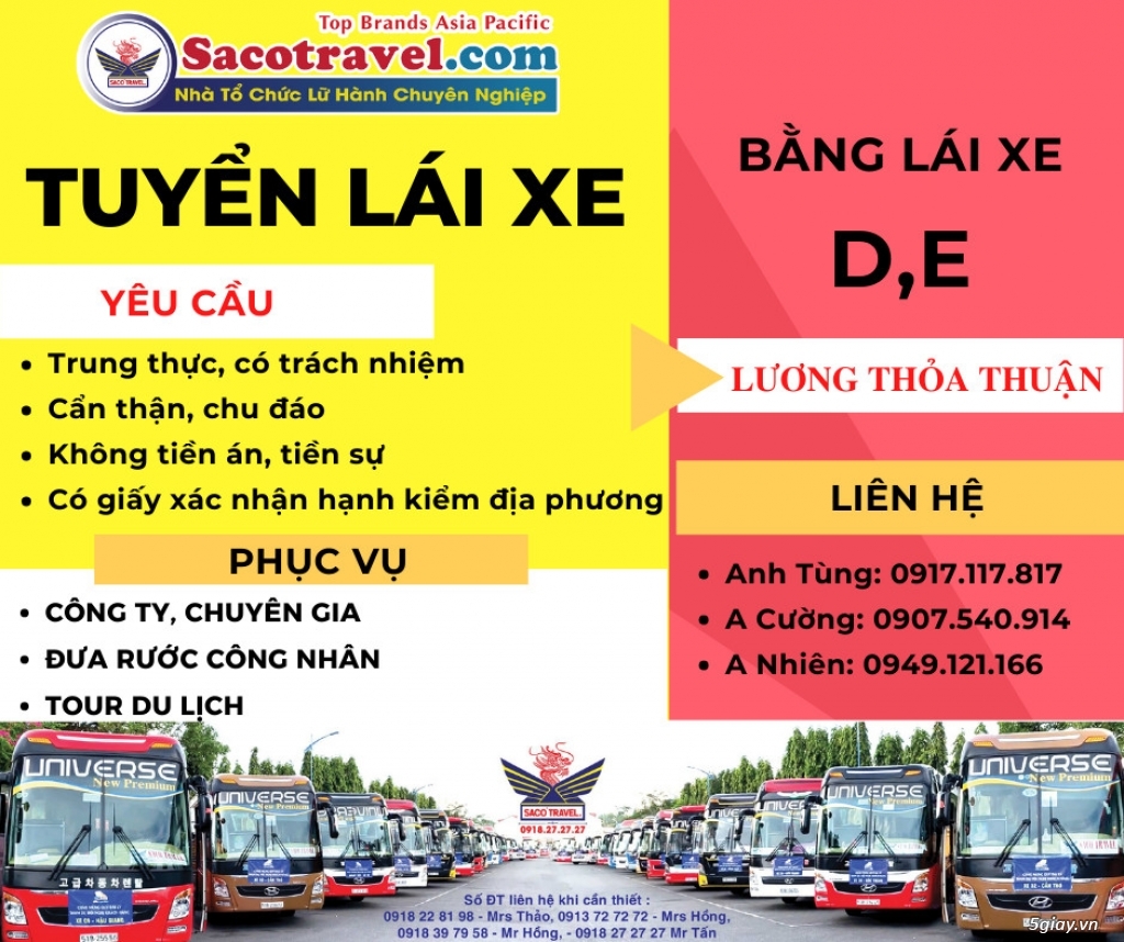 Tuyển tài xế dấu E,D