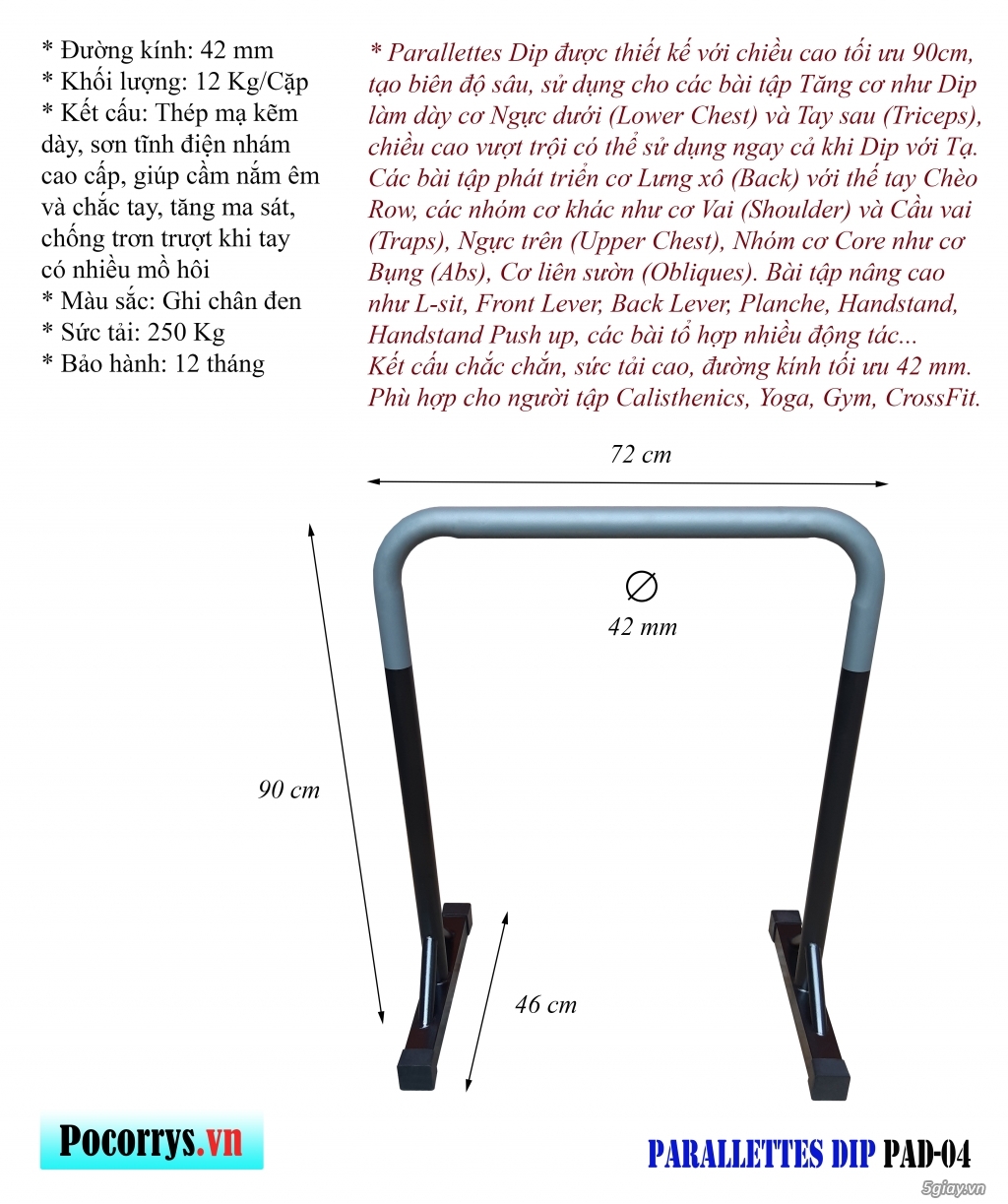 Parallettes Dip - Xà kép mini Pocorrys PAD-04 - 2