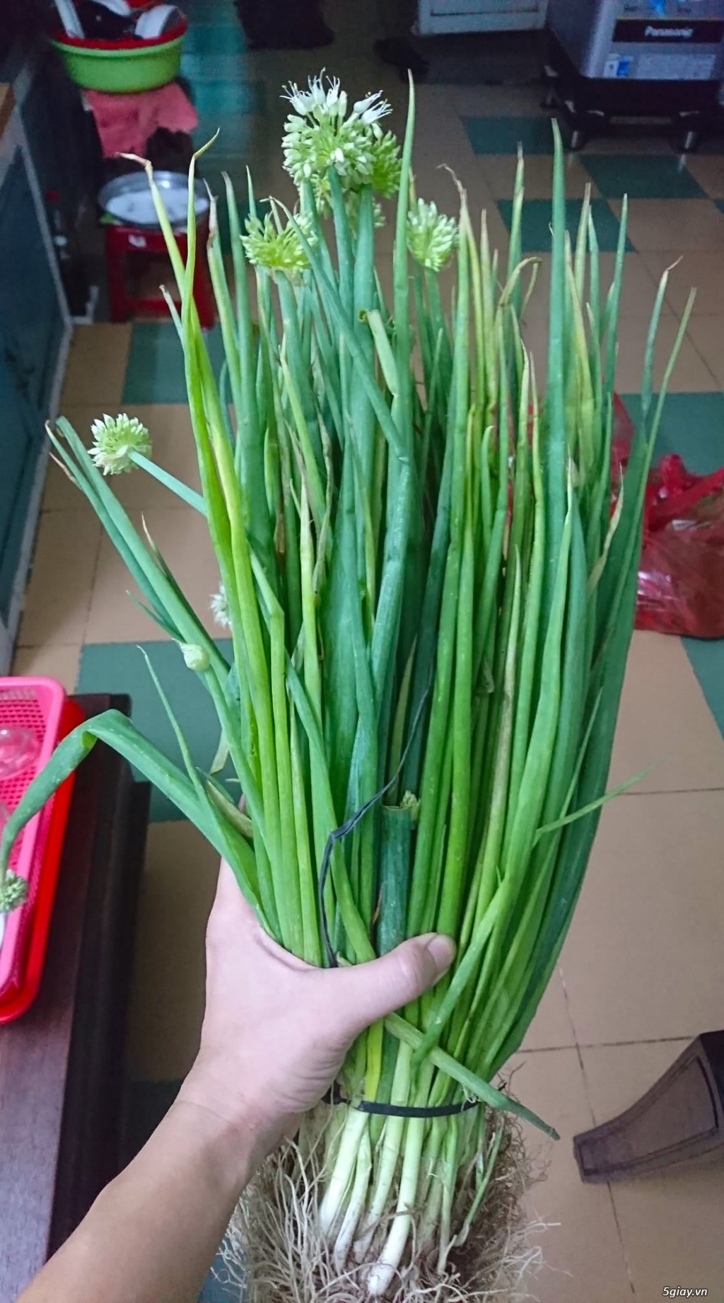 (S.O.S) Có bạn nào có giấy phép chạy liên quận ko nhỉ? - 2