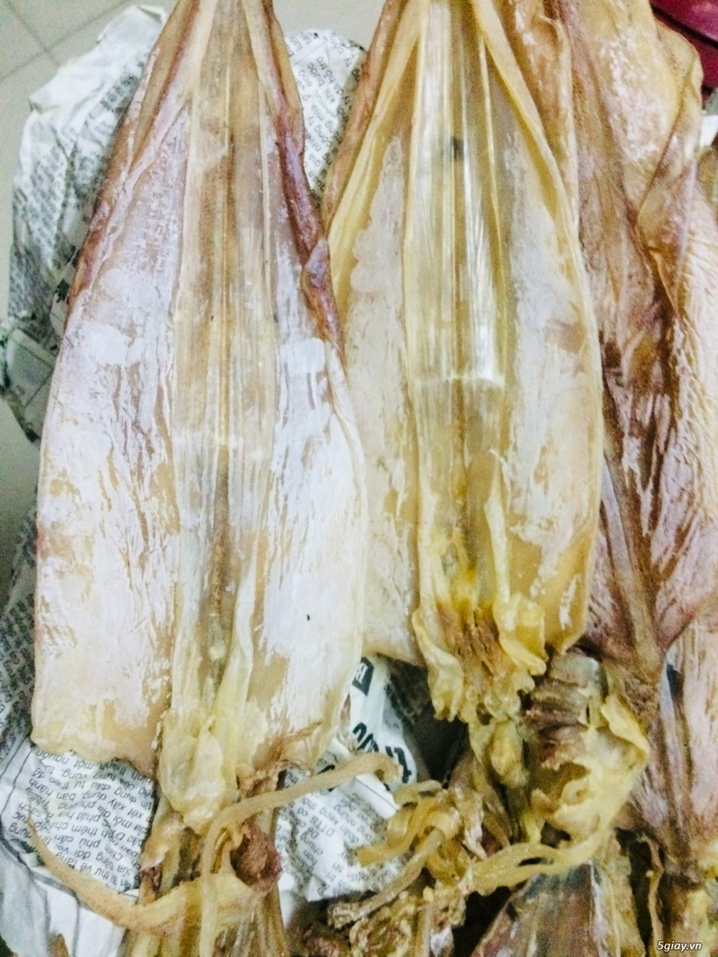 Mực Câu Chất Lượng - 2