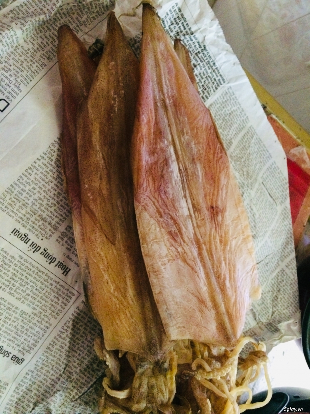 Mực Câu Chất Lượng - 4