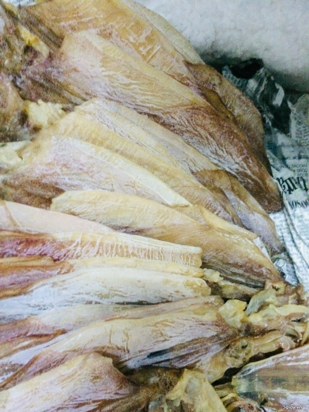 Mực Câu Chất Lượng - 1