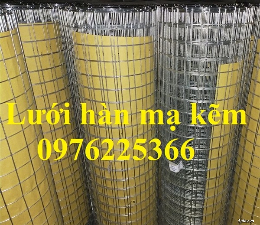 Lưới hàn mạ kẽm D3 A50x50 - 1