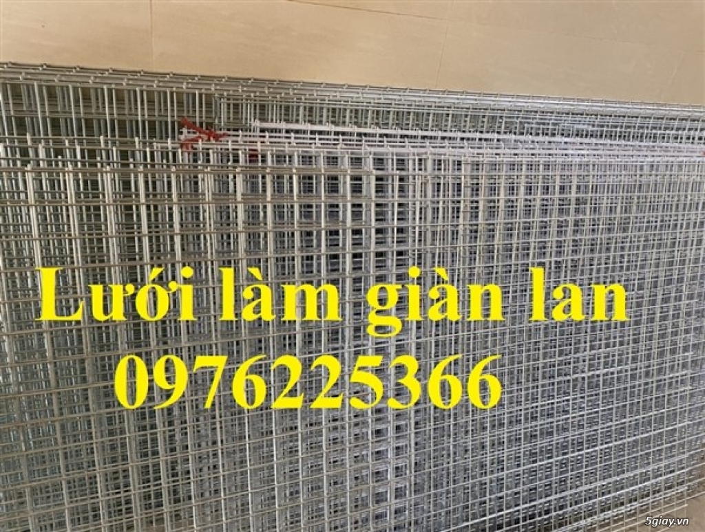 Lưới hàn mạ kẽm D3 A50x50 - 3