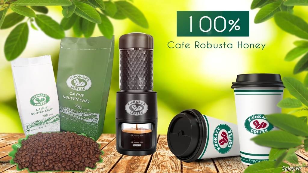 Cung cấp cafe Robusta Honey ở Tp. HCM