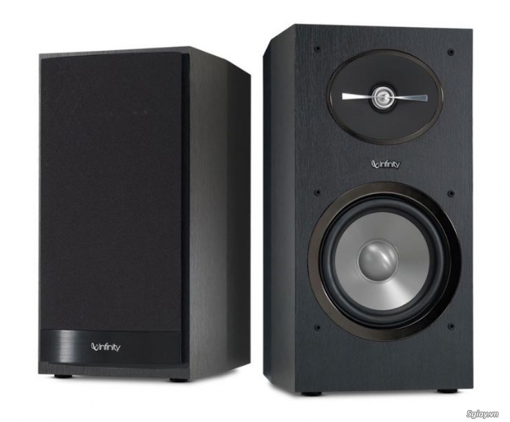 Đặc điểm nổi bật của loa infinity R162