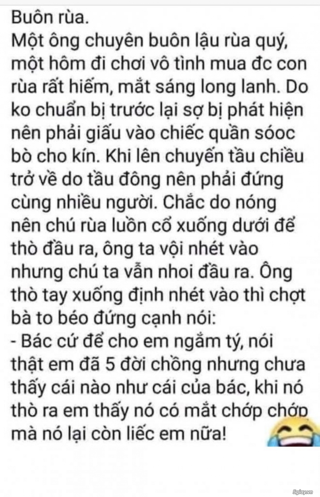 Hình hài hước... Nhiều thể loại vui nhôn
