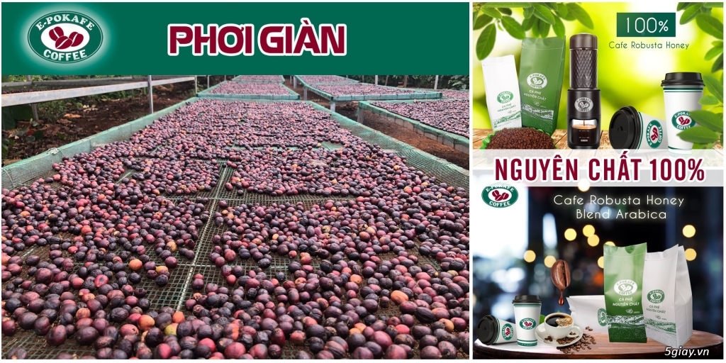 Cung cấp cafe rang xay nguyên chất ở Thủ Dầu Một - Bình Dương