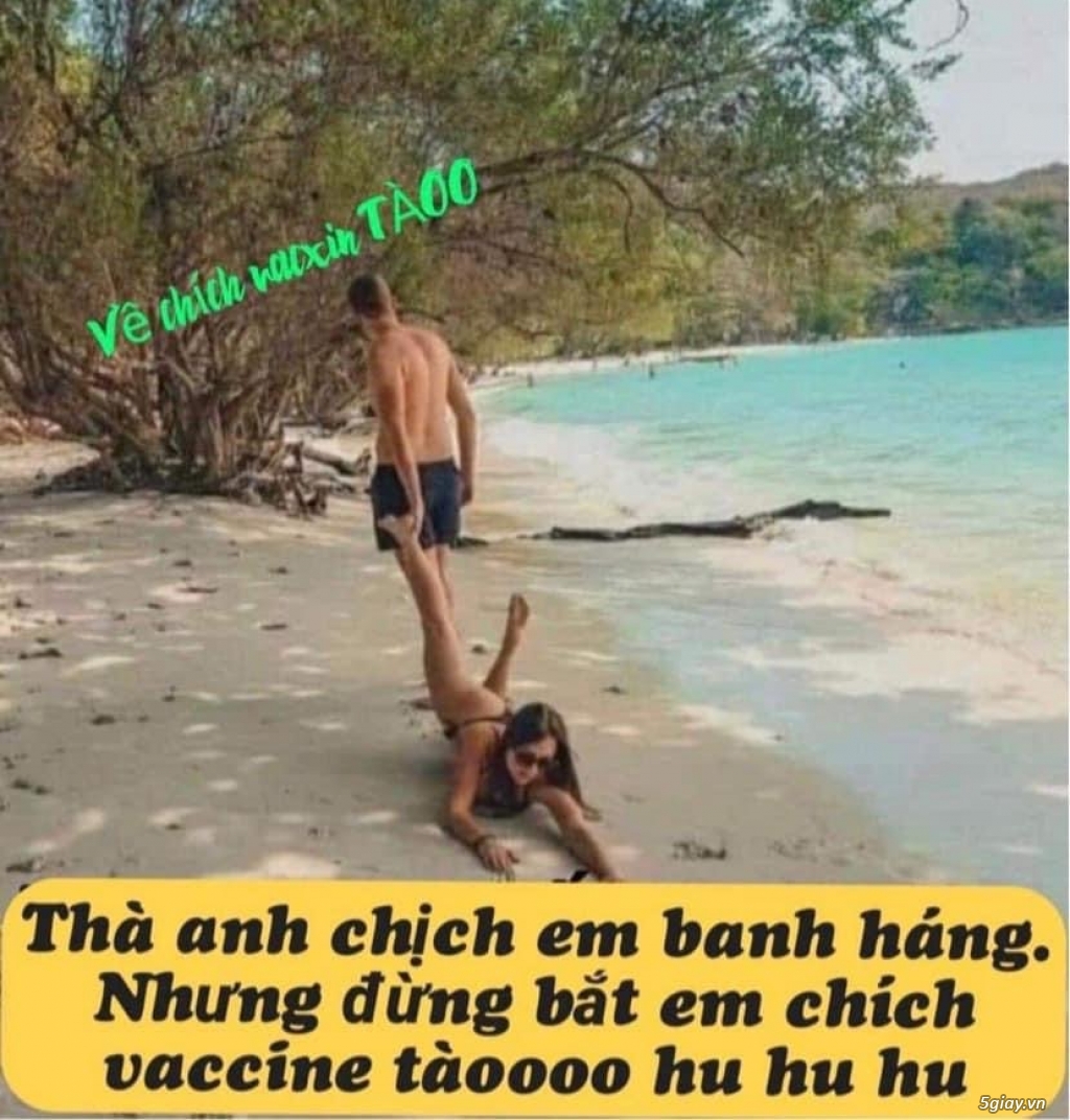 Hình hài hước... Nhiều thể loại vui nhôn