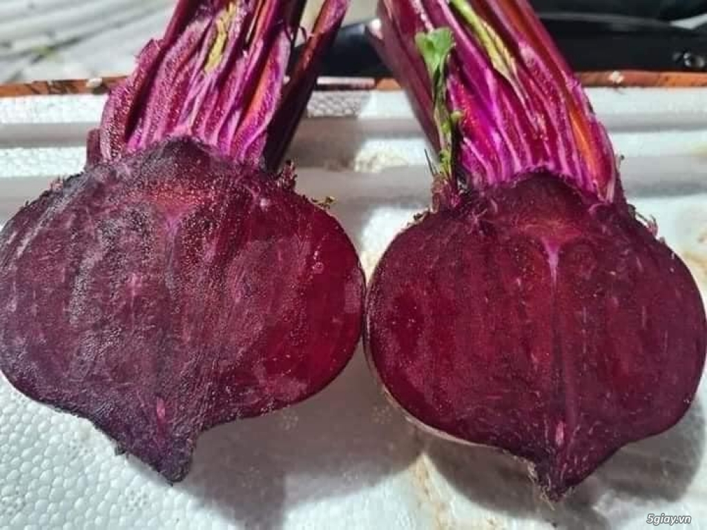 Củ dền-1kg